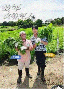 爱情保卫战